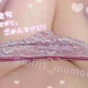 ヒメ日記 2025/04/02 19:49 投稿 ももか 秒即DE舐めてミント池袋店