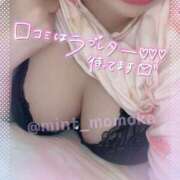 ヒメ日記 2025/06/09 06:57 投稿 ももか 秒即DE舐めてミント池袋店