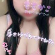 ヒメ日記 2025/06/14 12:19 投稿 ももか 秒即DE舐めてミント池袋店