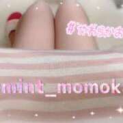 ヒメ日記 2025/06/18 12:00 投稿 ももか 秒即DE舐めてミント池袋店