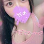 ヒメ日記 2025/07/31 14:30 投稿 ももか 秒即DE舐めてミント池袋店