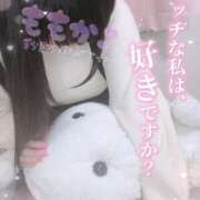 ヒメ日記 2025/08/14 12:19 投稿 ももか 秒即DE舐めてミント池袋店