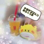 ヒメ日記 2025/08/18 21:42 投稿 ももか 秒即DE舐めてミント池袋店