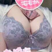 ヒメ日記 2025/09/22 16:17 投稿 ももか 秒即DE舐めてミント池袋店