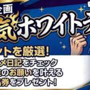 ヒメ日記 2026/03/13 14:40 投稿 あい 花夫人