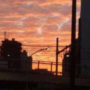 ヒメ日記 2025/09/23 06:44 投稿 瀬奈 ニューグランド