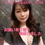 ヒメ日記 2026/04/08 11:13 投稿 瀬奈 ニューグランド