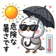 ヒメ日記 2026/07/22 09:23 投稿 瀬奈 ニューグランド