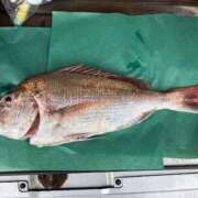 ヒメ日記 2025/07/22 08:26 投稿 あきほ アバンチュール（難波）