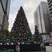 ヒメ日記 2025/12/02 15:21 投稿 蘭 ニューグランド