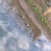 ヒメ日記 2025/12/16 10:43 投稿 蘭 ニューグランド