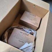 ヒメ日記 2025/12/16 17:33 投稿 蘭 ニューグランド