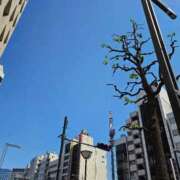 蘭 元気に♬ ニューグランド