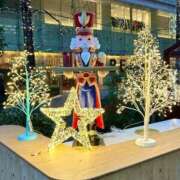 ヒメ日記 2025/12/23 20:54 投稿 りえ ニューグランド