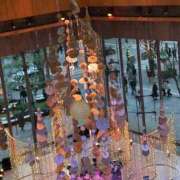 ヒメ日記 2025/12/24 18:58 投稿 りえ ニューグランド