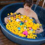 ヒメ日記 2025/11/20 07:53 投稿 あおい ニューグランド