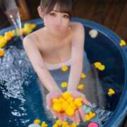 ヒメ日記 2026/02/01 06:19 投稿 あおい ニューグランド