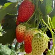 ヒメ日記 2026/03/05 12:13 投稿 あおい ニューグランド