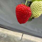 ヒメ日記 2026/04/09 20:05 投稿 あおい ニューグランド