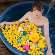 ヒメ日記 2026/06/26 05:43 投稿 あおい ニューグランド