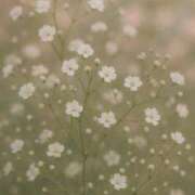 ヒメ日記 2025/04/30 14:29 投稿 菜緒子 [ナオコ] ゆるふわ彼女