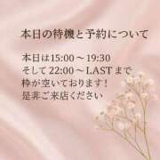 ヒメ日記 2025/04/30 15:49 投稿 菜緒子 [ナオコ] ゆるふわ彼女