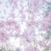 ヒメ日記 2025/05/01 19:39 投稿 菜緒子 [ナオコ] ゆるふわ彼女