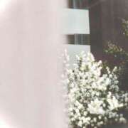 ヒメ日記 2025/05/06 09:09 投稿 菜緒子 [ナオコ] ゆるふわ彼女