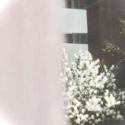 ヒメ日記 2025/05/31 12:19 投稿 菜緒子 [ナオコ] ゆるふわ彼女