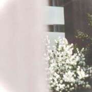 ヒメ日記 2025/06/12 02:29 投稿 菜緒子 [ナオコ] ゆるふわ彼女