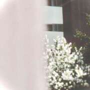 ヒメ日記 2025/06/16 14:49 投稿 菜緒子 [ナオコ] ゆるふわ彼女