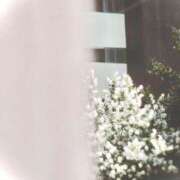 ヒメ日記 2025/07/06 01:59 投稿 菜緒子 [ナオコ] ゆるふわ彼女