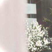 ヒメ日記 2025/09/04 00:59 投稿 菜緒子 [ナオコ] ゆるふわ彼女