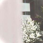 ヒメ日記 2025/09/12 17:42 投稿 菜緒子 [ナオコ] ゆるふわ彼女