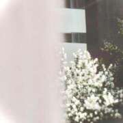 ヒメ日記 2025/10/01 03:22 投稿 菜緒子 [ナオコ] ゆるふわ彼女