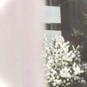 ヒメ日記 2025/10/29 05:03 投稿 菜緒子 [ナオコ] ゆるふわ彼女