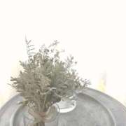 ヒメ日記 2025/10/31 00:13 投稿 菜緒子 [ナオコ] ゆるふわ彼女