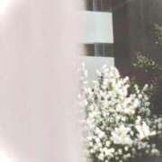 ヒメ日記 2025/11/06 04:03 投稿 菜緒子 [ナオコ] ゆるふわ彼女