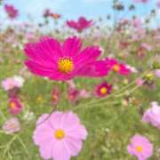 ヒメ日記 2025/11/21 14:13 投稿 菜緒子 [ナオコ] ゆるふわ彼女