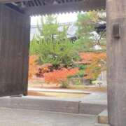 ヒメ日記 2025/11/23 23:33 投稿 菜緒子 [ナオコ] ゆるふわ彼女