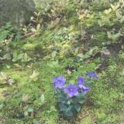 ヒメ日記 2025/11/24 20:23 投稿 菜緒子 [ナオコ] ゆるふわ彼女