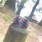 ヒメ日記 2025/12/01 18:33 投稿 菜緒子 [ナオコ] ゆるふわ彼女