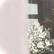 ヒメ日記 2025/12/03 06:43 投稿 菜緒子 [ナオコ] ゆるふわ彼女