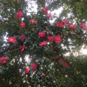 菜緒子 [ナオコ] 待ってるね♪ ゆるふわ彼女