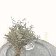 菜緒子 [ナオコ] ✽・:..｡Tさんへ｡..:・✽ ゆるふわ彼女