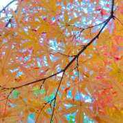 ヒメ日記 2025/12/14 05:23 投稿 菜緒子 [ナオコ] ゆるふわ彼女