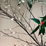 ヒメ日記 2025/12/19 06:03 投稿 菜緒子 [ナオコ] ゆるふわ彼女