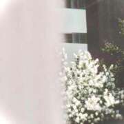 ヒメ日記 2025/12/27 23:13 投稿 菜緒子 [ナオコ] ゆるふわ彼女