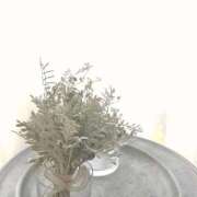 ヒメ日記 2025/12/29 23:53 投稿 菜緒子 [ナオコ] ゆるふわ彼女