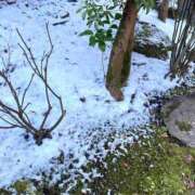 ヒメ日記 2026/01/24 01:53 投稿 菜緒子 [ナオコ] ゆるふわ彼女